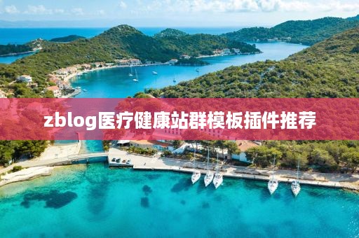zblog医疗健康站群模板插件推荐